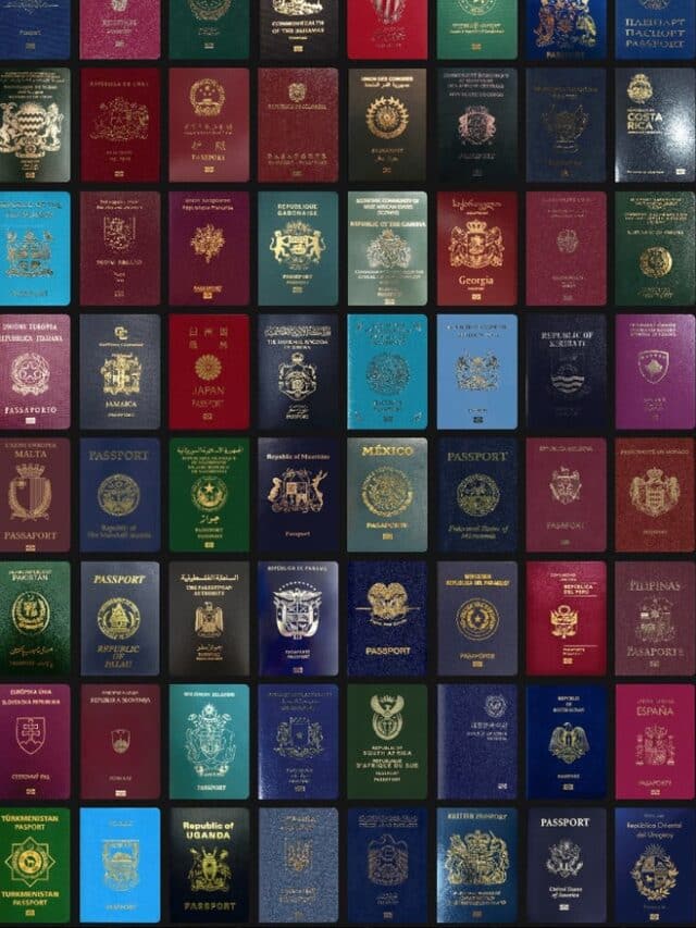 पासपोर्ट के रंग का भी होता है अलग-अलग मतलब?